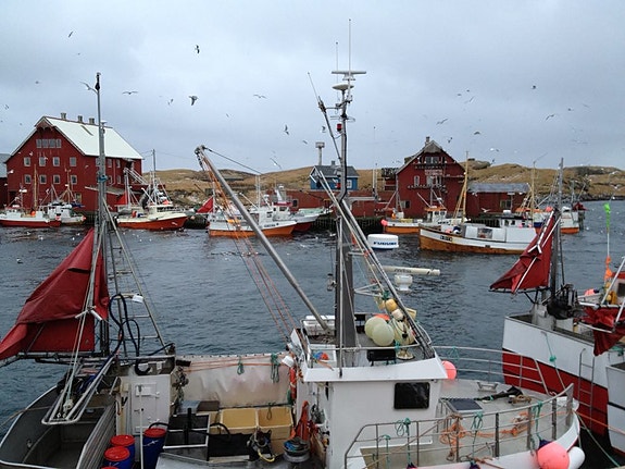 Bilde 3 av 6 i jobbannonse-galleriet