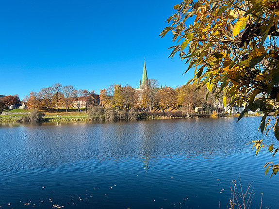 Bilde 1 av 1 i jobbannonse-galleriet