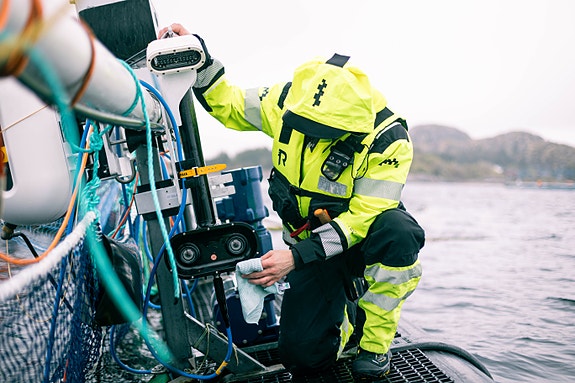 Bilde 3 av 5 i jobbannonse-galleriet