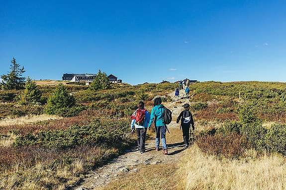 Bilde 3 av 10 i jobbannonse-galleriet