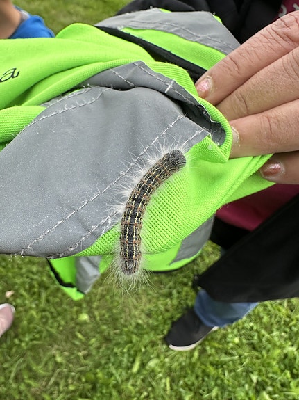 Bilde 5 av 5 i jobbannonse-galleriet