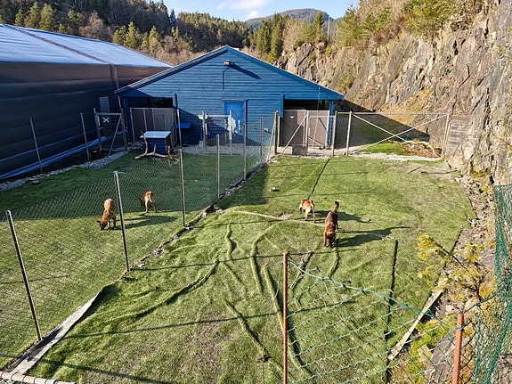 5 store luftegårder (3/2) i hver ende av kennelbygget