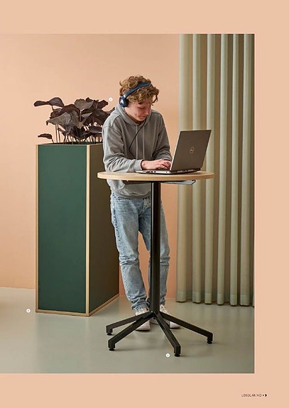 Bilde 1 av 3 i jobbannonse-galleriet