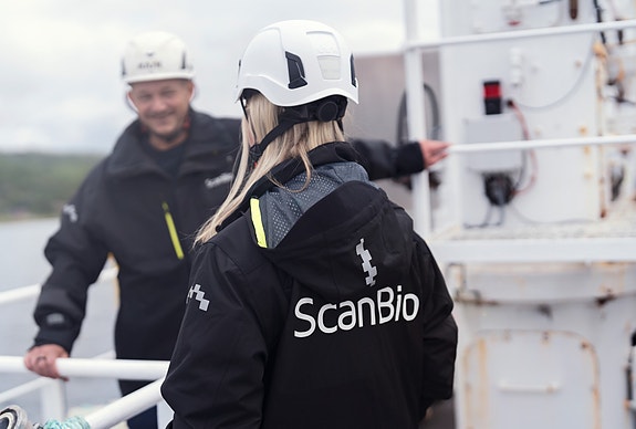 Bilde 3 av 3 i jobbannonse-galleriet