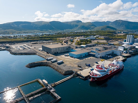 Oversikt over fabrikk og hovedkontor, før utbygging.