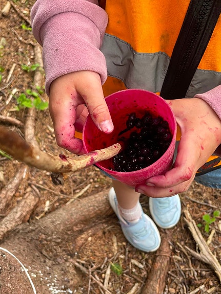 Bilde 5 av 10 i jobbannonse-galleriet