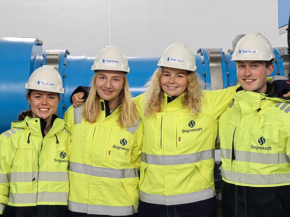 Bilde 4 av 4 i jobbannonse-galleriet