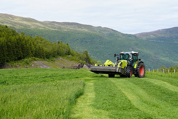 Bilde 4 av 7 i jobbannonse-galleriet