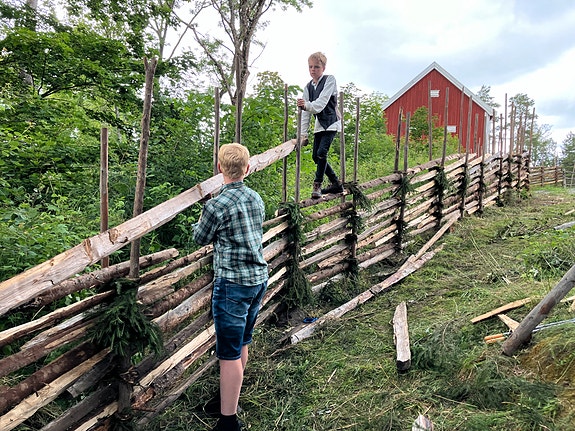 Skigard - kurs for huseiere med gammelt hus/ gard.