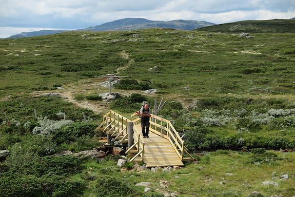 Bilde 1 av 1 i jobbannonse-galleriet