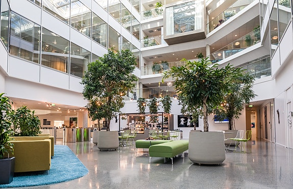 Bilde 3 av 3 i jobbannonse-galleriet