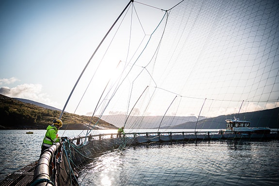 Bilde 2 av 4 i jobbannonse-galleriet