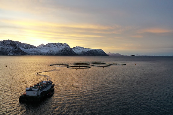 Bilde 2 av 3 i jobbannonse-galleriet