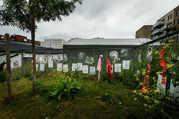 Bilde 2 av 5 i jobbannonse-galleriet