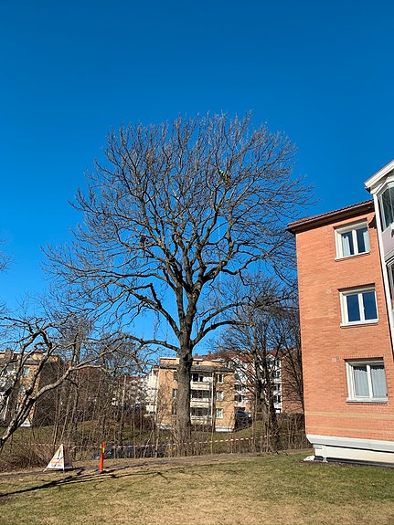 Bilde 2 av 7 i jobbannonse-galleriet