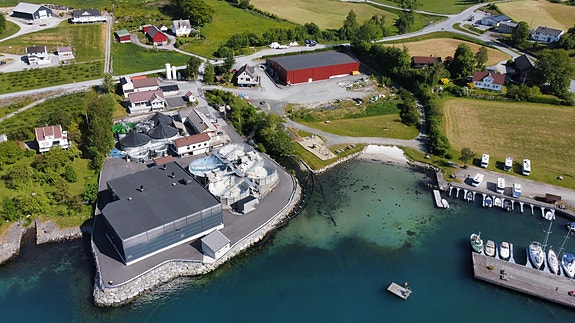 Bilde 1 av 1 i jobbannonse-galleriet