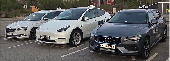 Torbjørn Tveitan logo