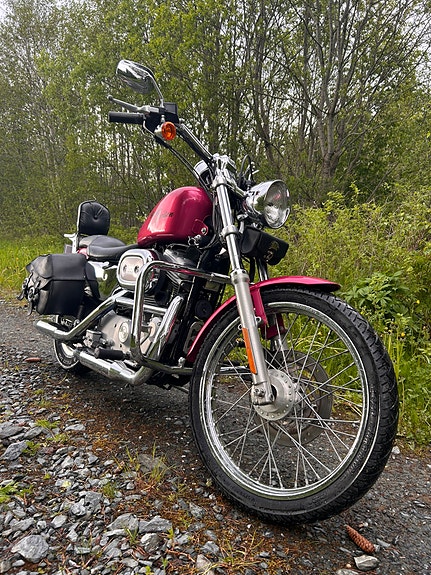 Harley-Davidson XL 883 Sportster 7 of 21