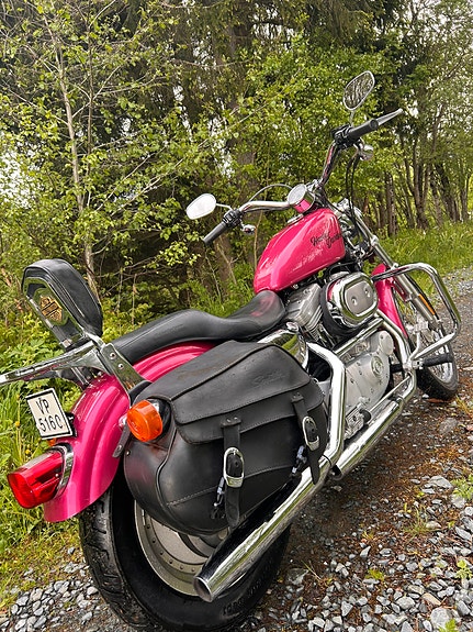 Harley-Davidson XL 883 Sportster 6 of 21