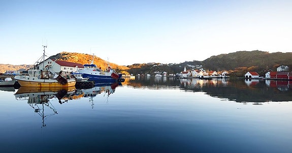 Bilde 1 av 1 i jobbannonse-galleriet