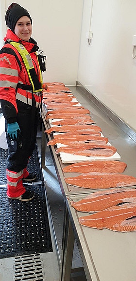 Bilde 4 av 8 i jobbannonse-galleriet