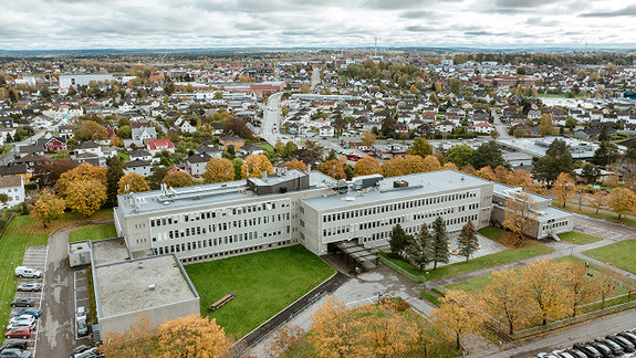 Bilde 1 av 4 i jobbannonse-galleriet