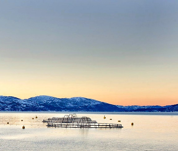 Bilde 2 av 4 i jobbannonse-galleriet