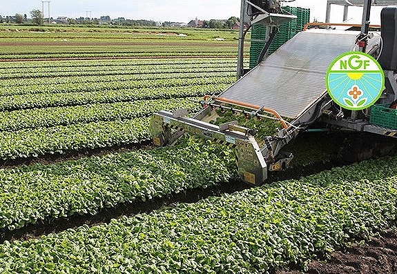 Bilde 4 av 6 i jobbannonse-galleriet