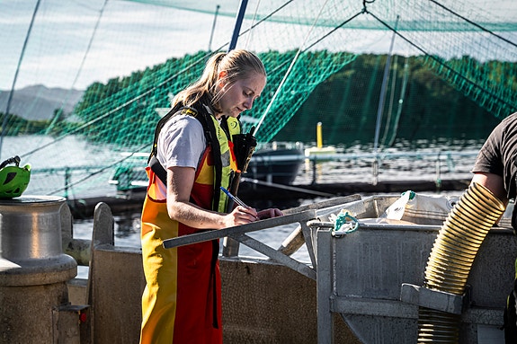 Bilde 2 av 4 i jobbannonse-galleriet