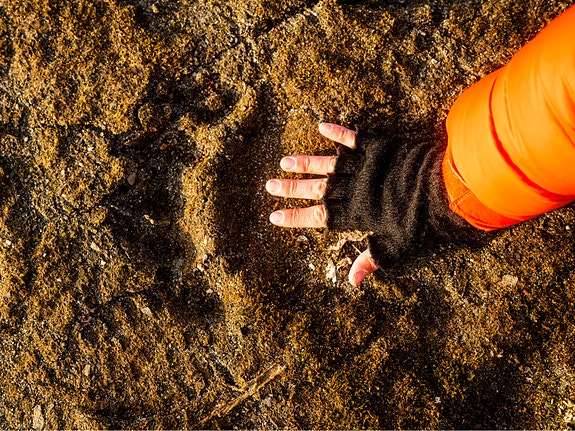 Bilde 8 av 8 i jobbannonse-galleriet