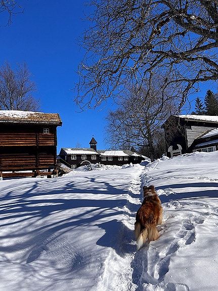 Vinter på toppen av Oslo