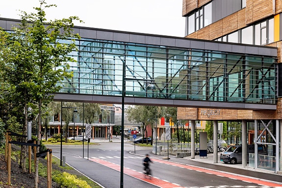 Bilde 4 av 6 i jobbannonse-galleriet