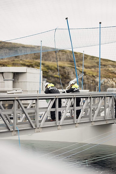 Bilde 5 av 5 i jobbannonse-galleriet