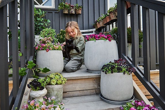 Bilde 2 av 2 i jobbannonse-galleriet