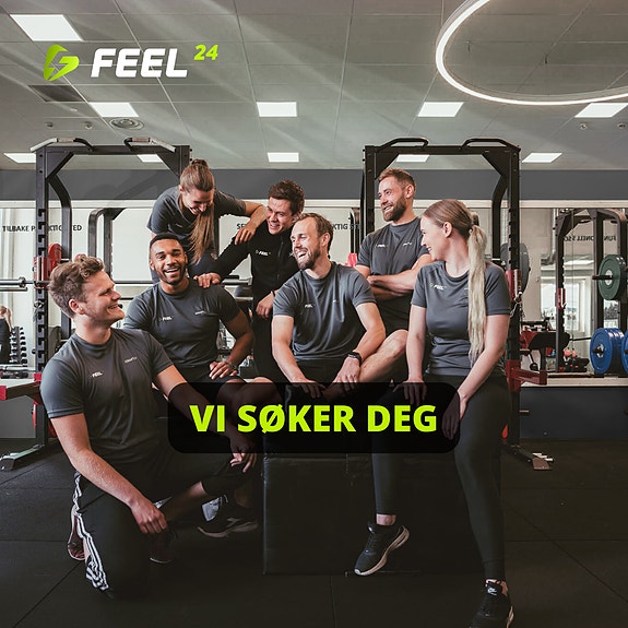 Bilde 1 av 1 i jobbannonse-galleriet