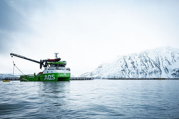 Bilde 1 av 1 i jobbannonse-galleriet