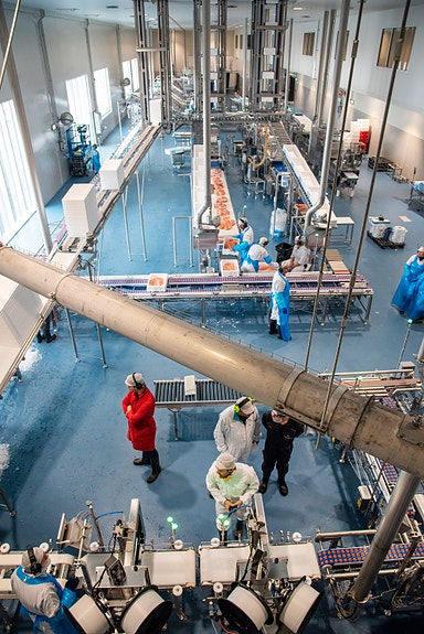 Filetproduksjon i en egen avdeling på om lag 1.000 kvadratmeter.