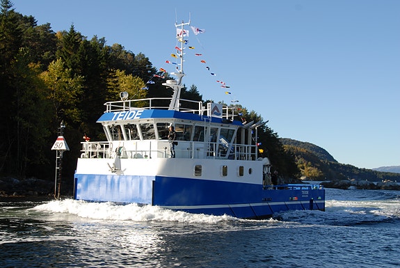 Bilde 1 av 6 i jobbannonse-galleriet