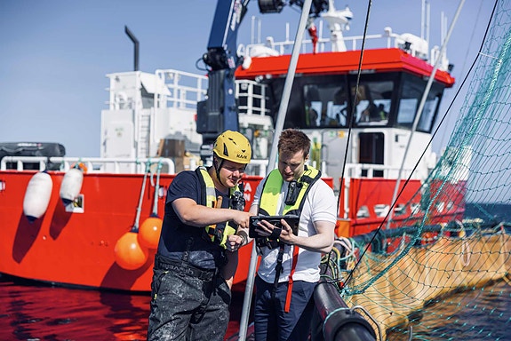 Bilde 3 av 4 i jobbannonse-galleriet