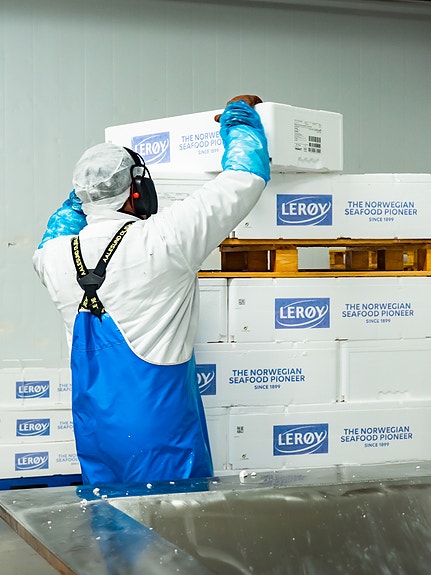 Bilde 3 av 5 i jobbannonse-galleriet