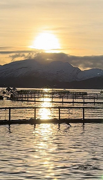 Bilde 6 av 6 i jobbannonse-galleriet