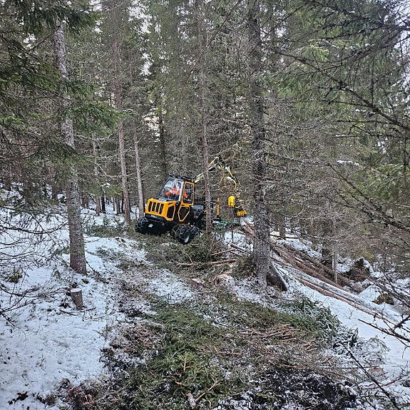 Kinetic K437 med Jobo rullemater