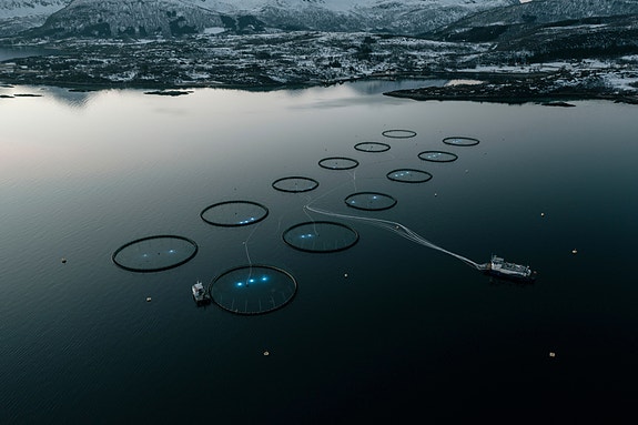 Bilde 9 av 9 i jobbannonse-galleriet