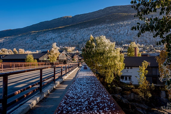 Bilde 1 av 3 i jobbannonse-galleriet