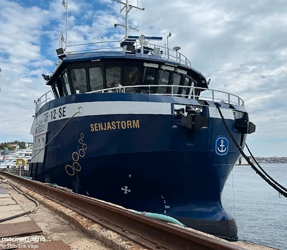 Bilde 1 av 2 i jobbannonse-galleriet