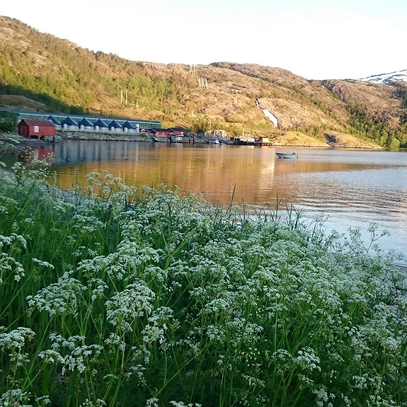 Bilde 3 av 3 i jobbannonse-galleriet