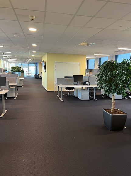 Bilde 4 av 9 i jobbannonse-galleriet