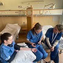 Bilde 4 av 5 i jobbannonse-galleriet