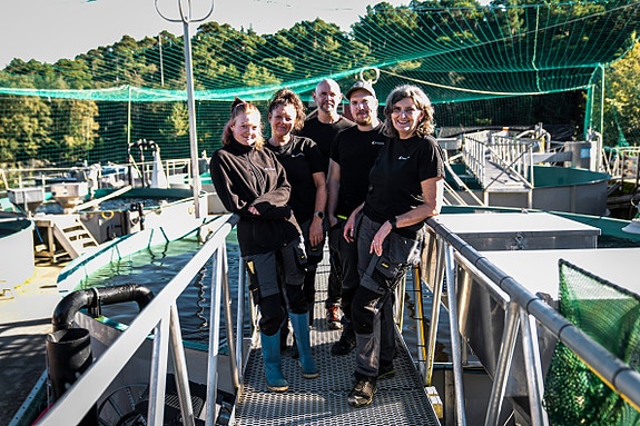 Bilde 1 av 4 i jobbannonse-galleriet