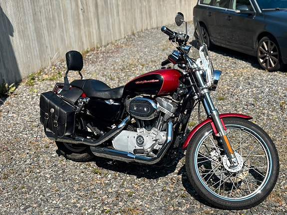 Harley-Davidson XL 883C Custom 5 of 6